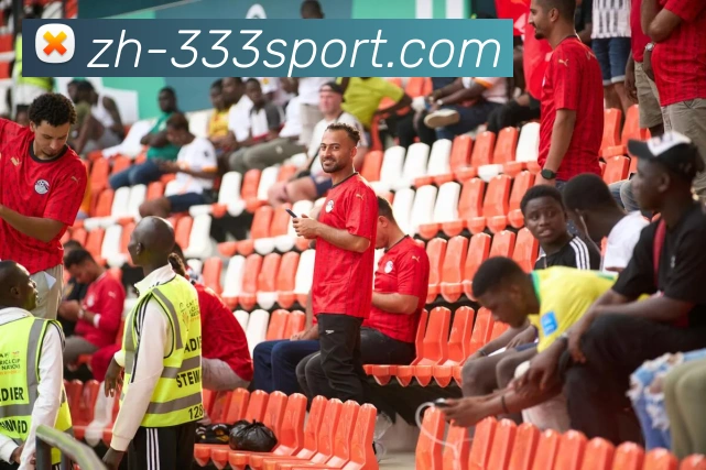 333体育发展历程